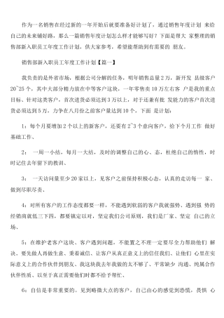销售部新入职员工年度工作计划