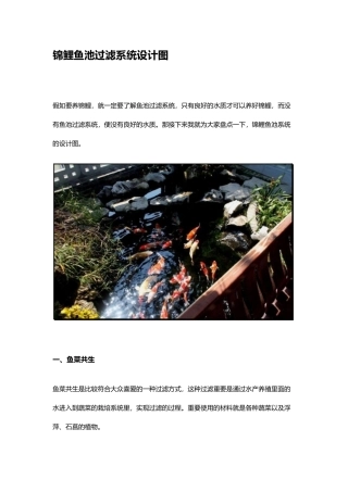 锦鲤鱼池过滤系统设计图