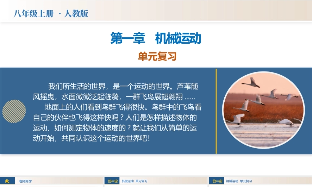  25秋人教八年级物理上册高效课堂第一章+机械运动（单元复习课件）