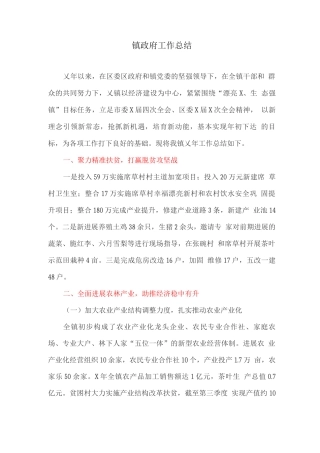 镇政府工作总结