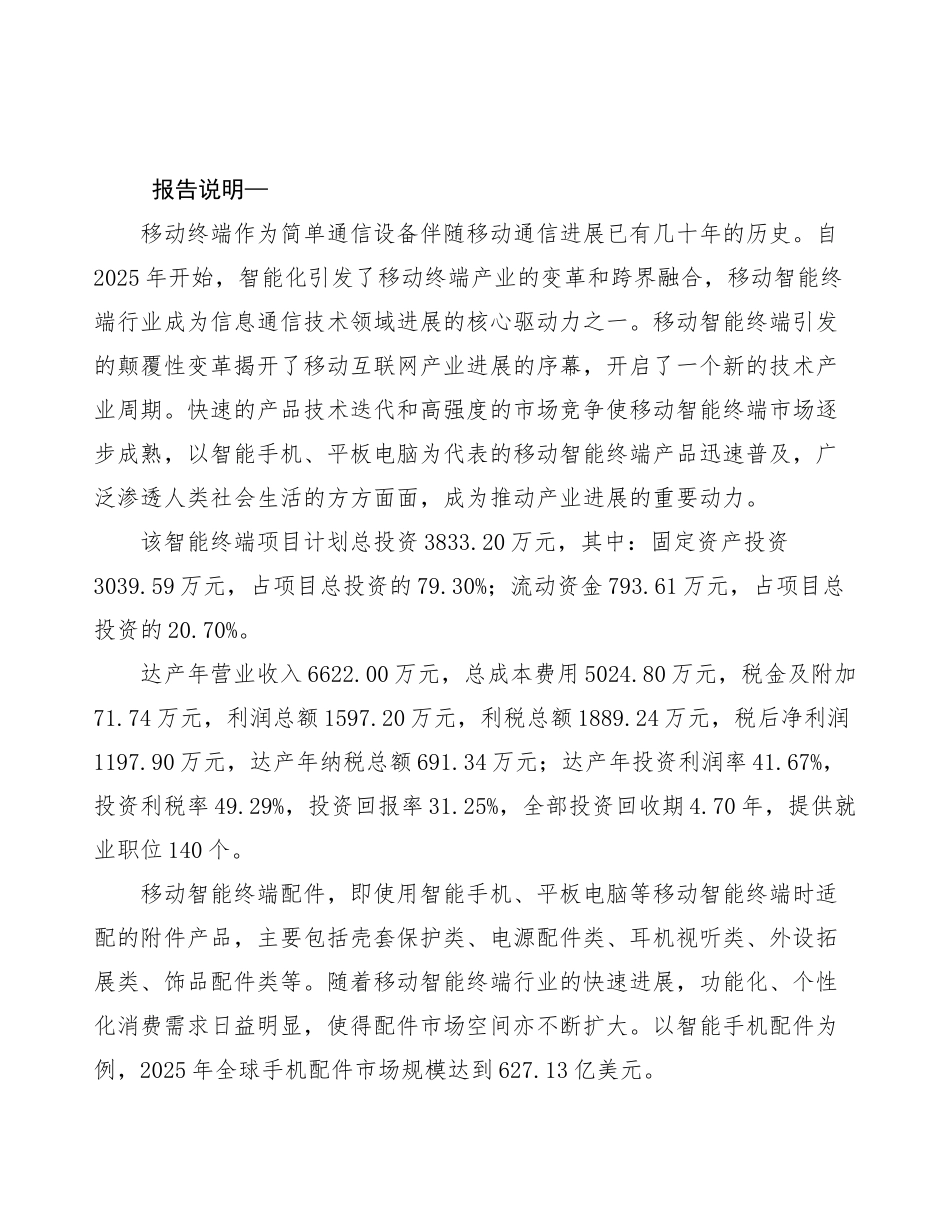长沙智能终端设备项目规划策划方案_第2页