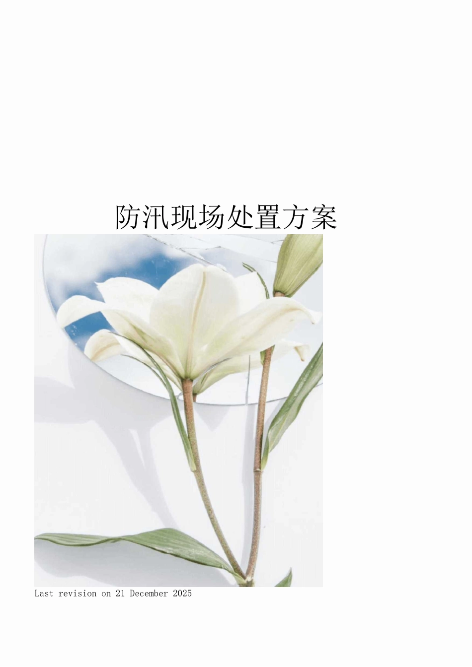 防汛现场处置方案_第1页
