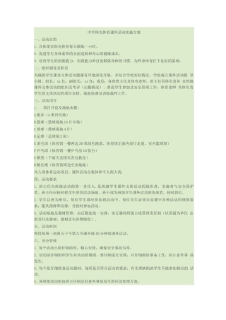 阳光体育课外活动实施方案