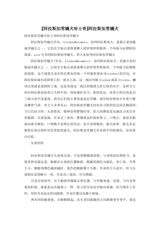 阿拉斯加雪橇犬