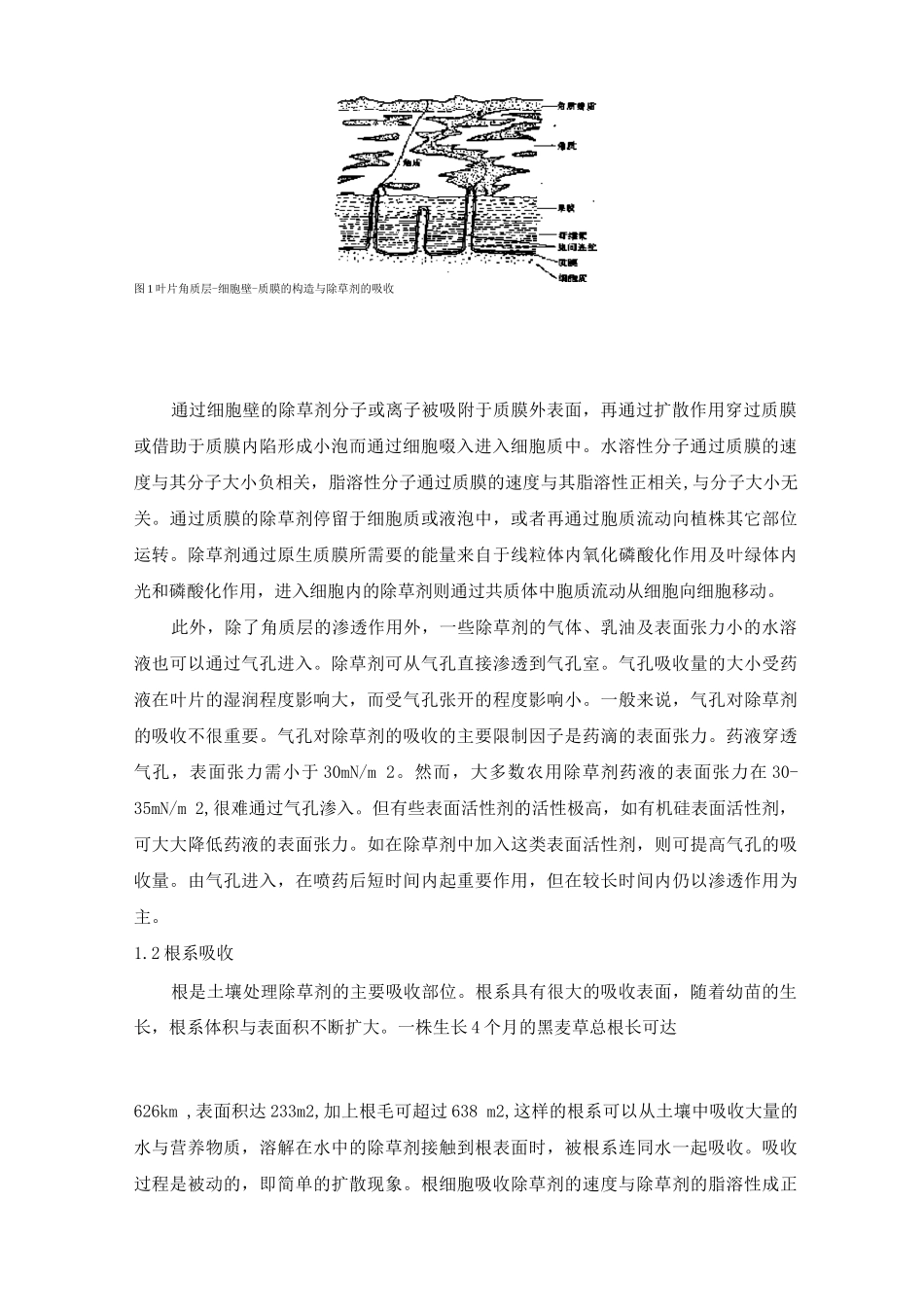 除草剂灭草原理知识_第2页