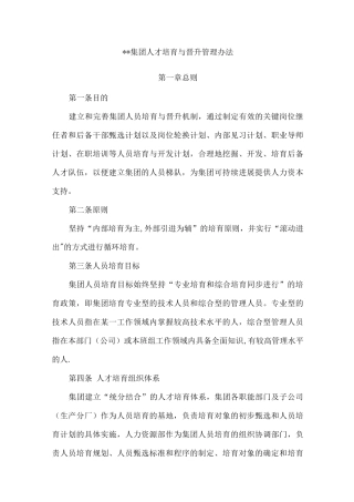 集团人员培养与晋升管理办法
