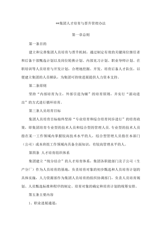 集团人员培养与晋升管理办法-