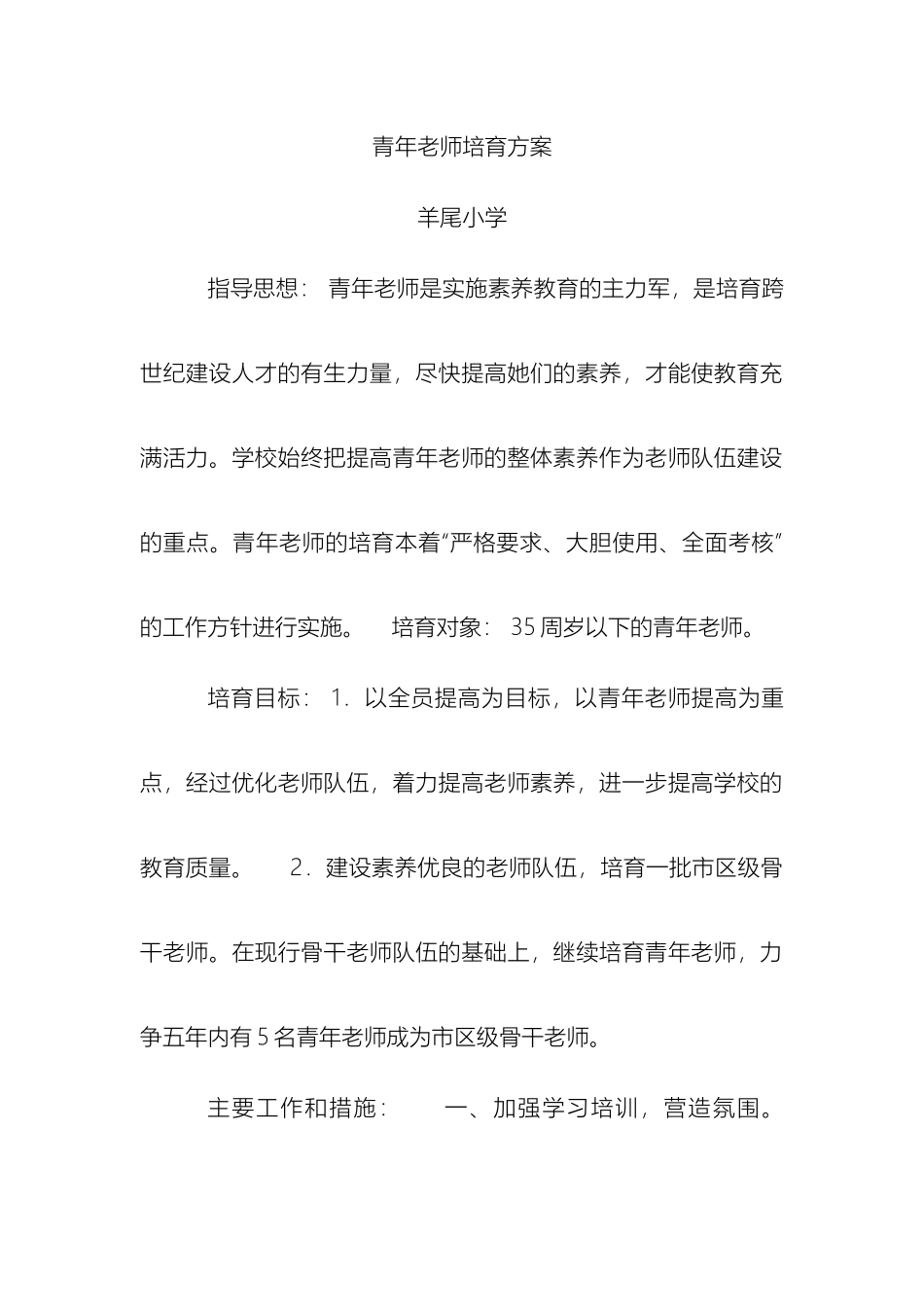 青年教师培养方案模板_第2页