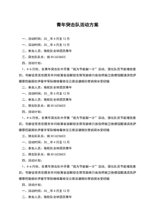 青年突击队活动方案