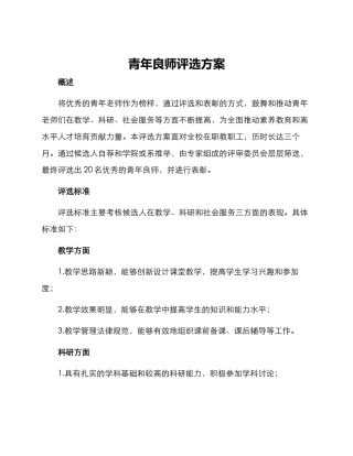 青年良师评选方案