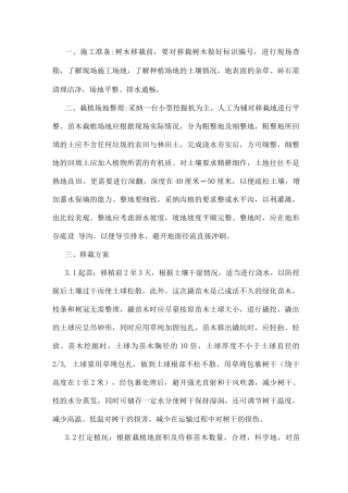 青海云杉苗木供应方案