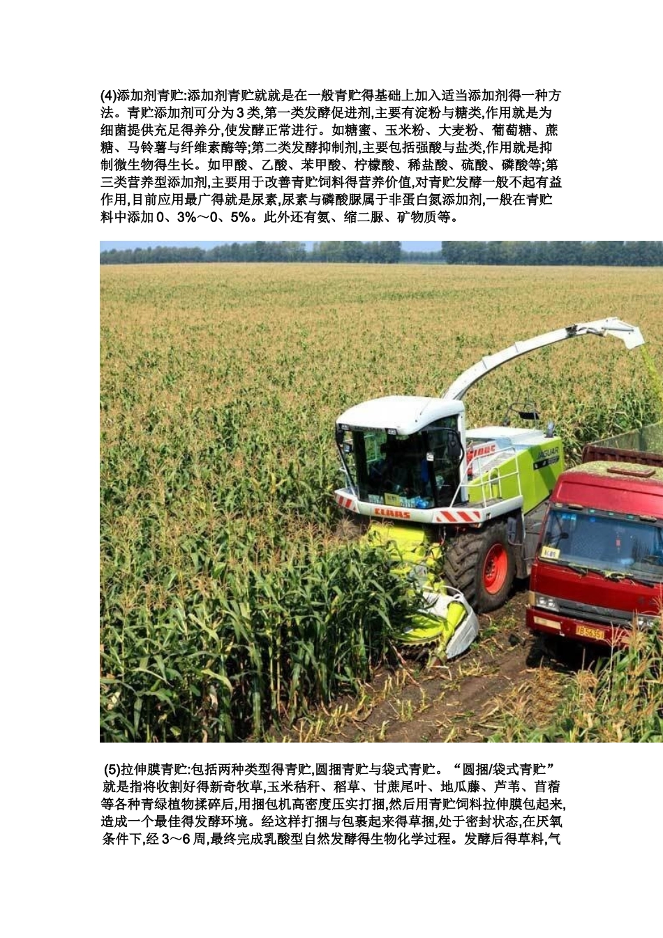 青贮玉米质量标准_第2页