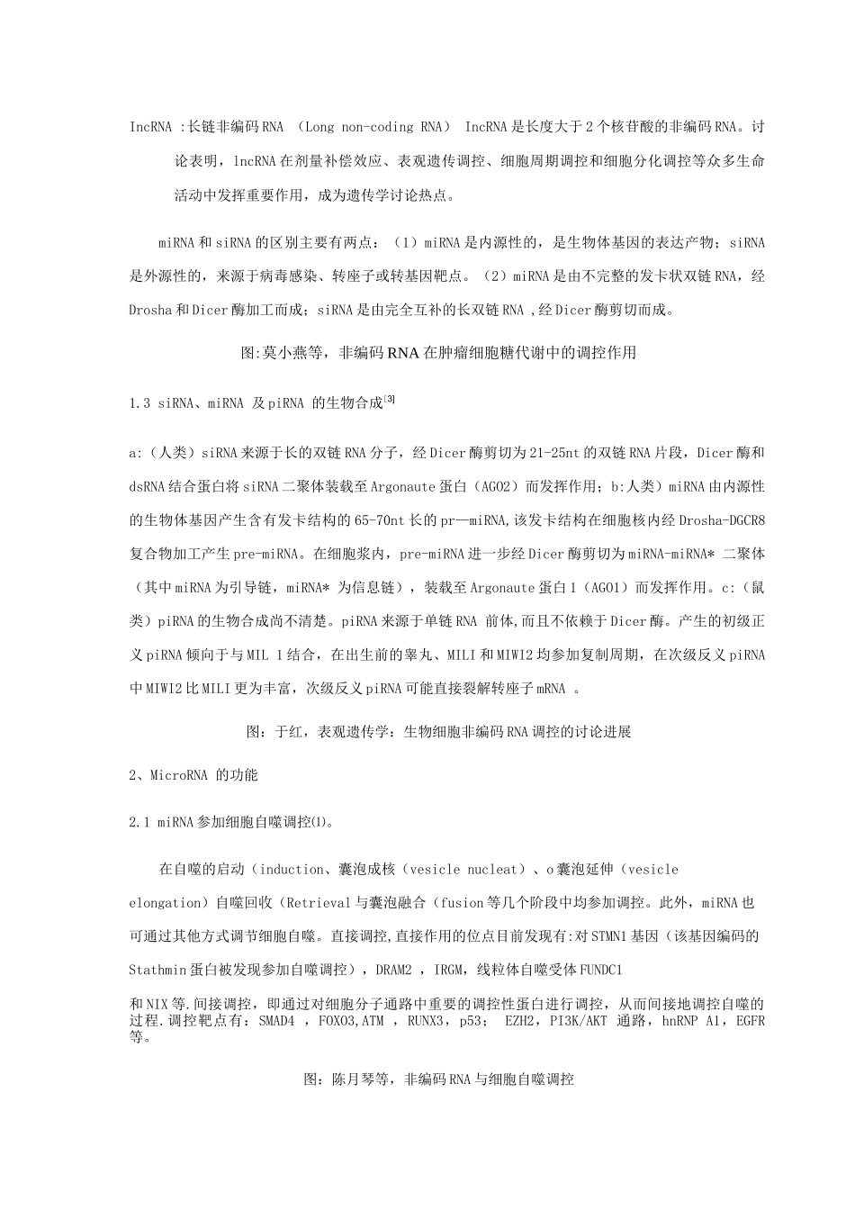 非编码RNA的分类及其功能总结_第2页