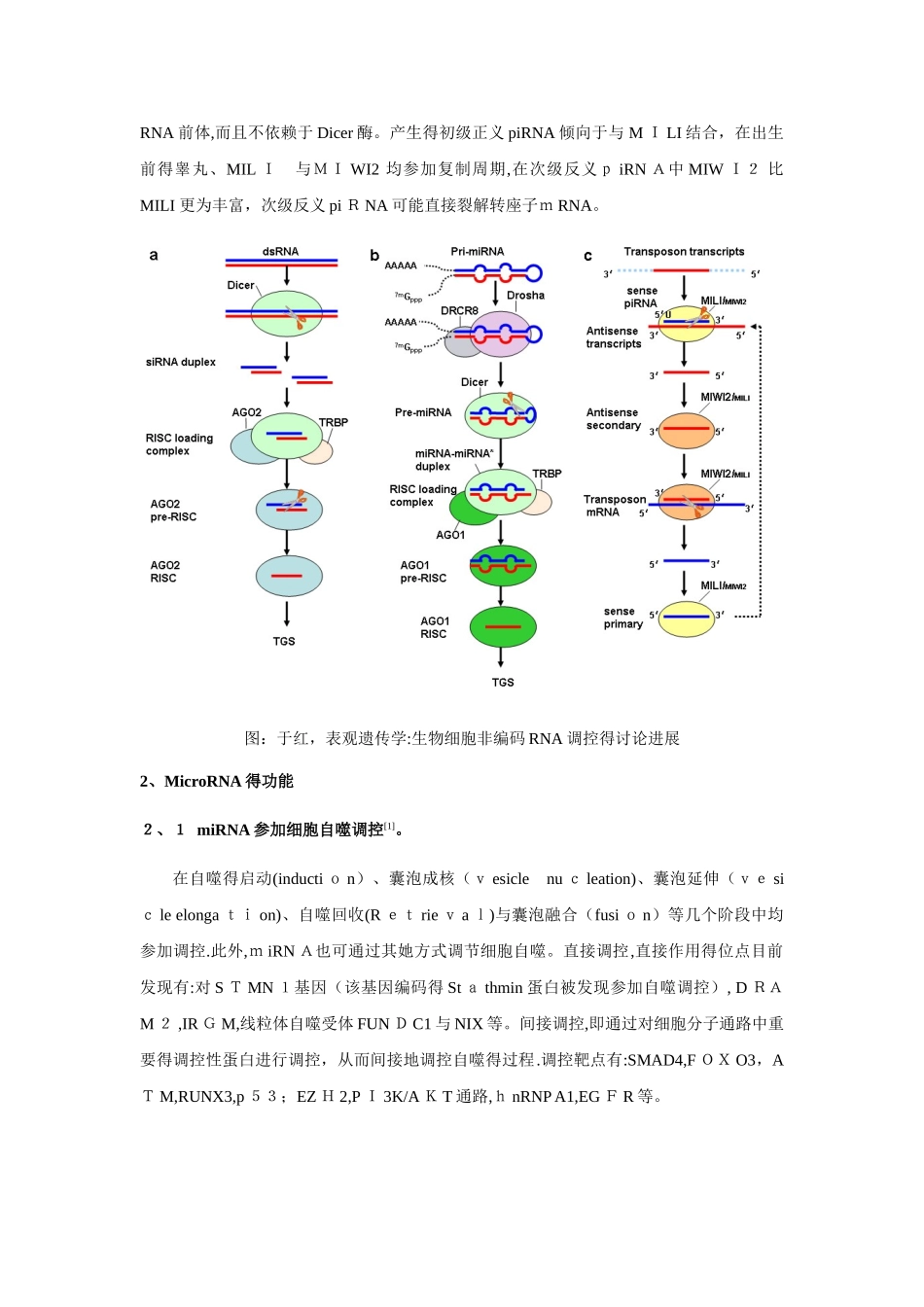 非编码RNA的分类及其功能总结_第3页