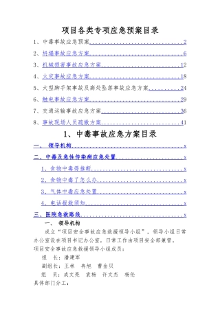 项目各类专项应急预案