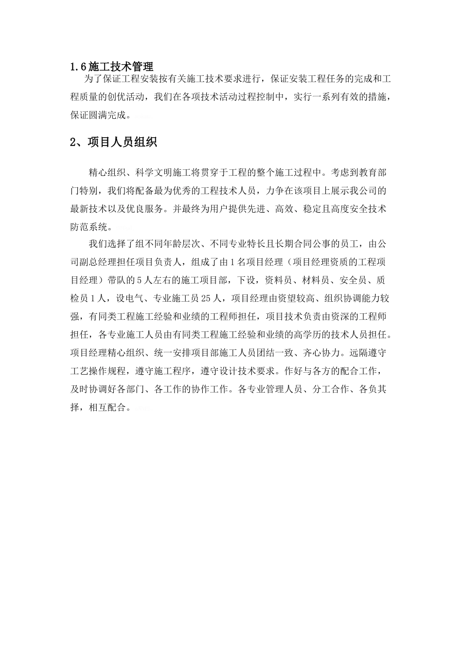 项目实施组织与管理_第2页