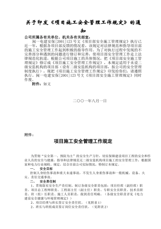 项目施工安全管理规定