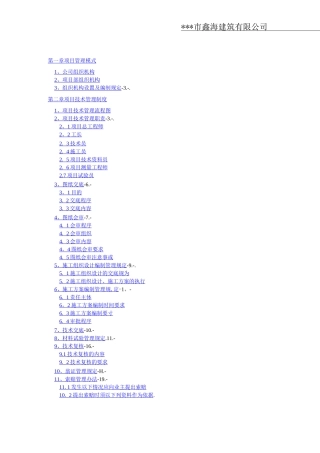 项目管理制度手册