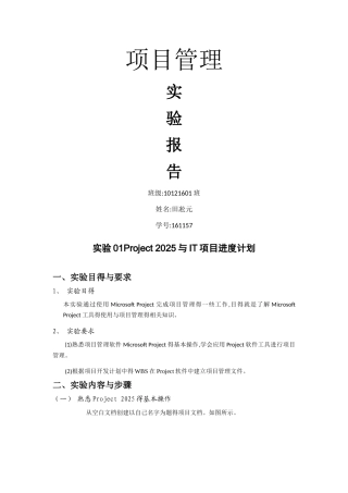 项目管理实验报告