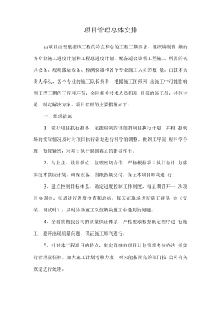 项目管理总体安排