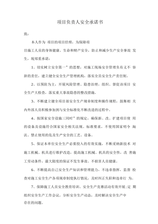 项目负责人安全承诺书
