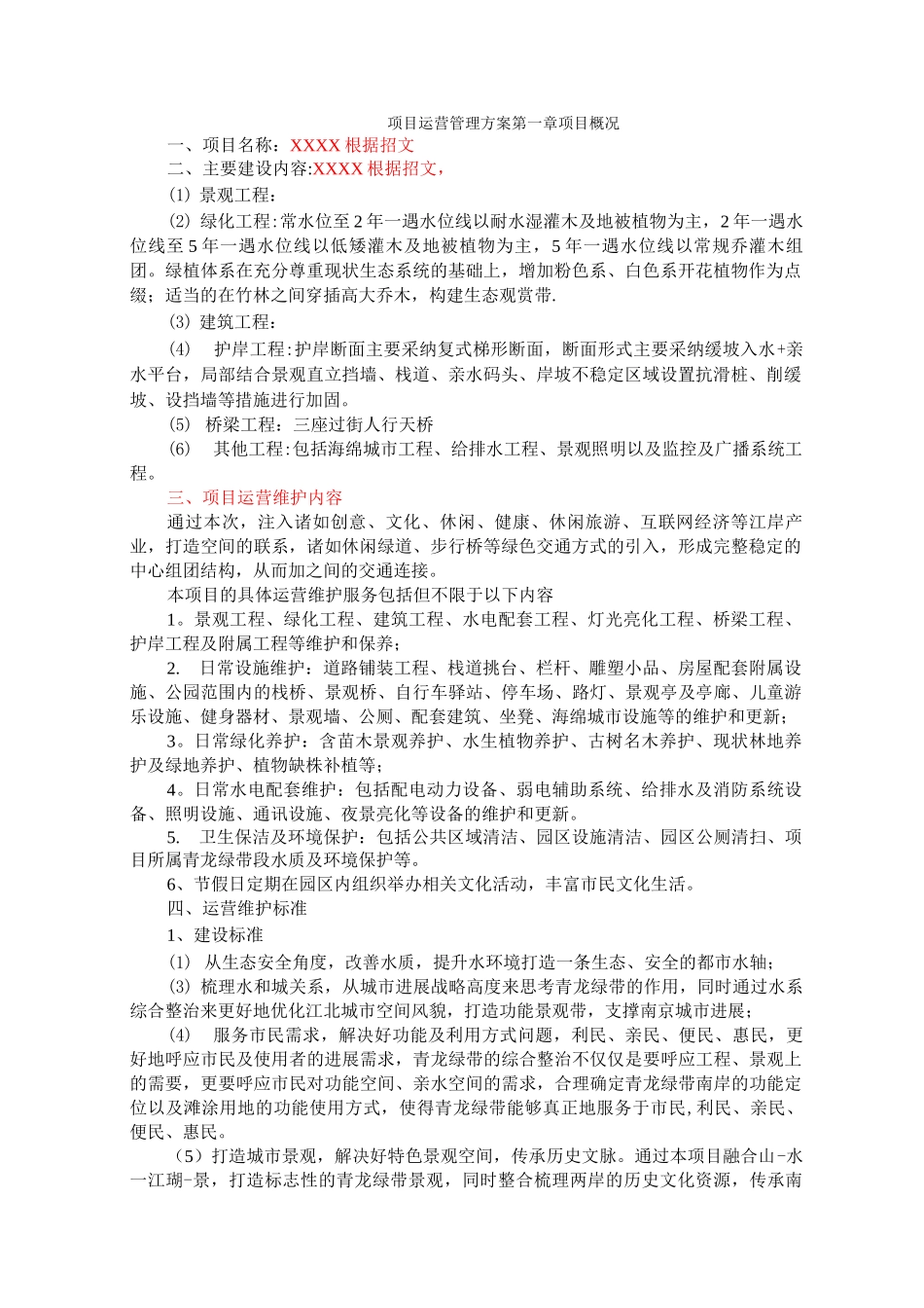 项目运营管理_第1页