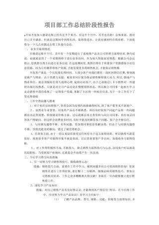 项目部阶段性工作总结报告