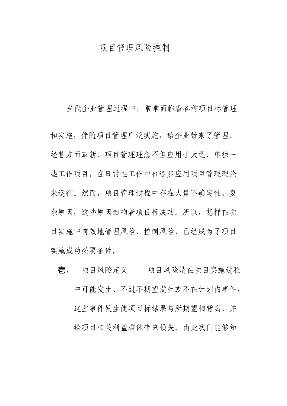 项目风险控制_第1页