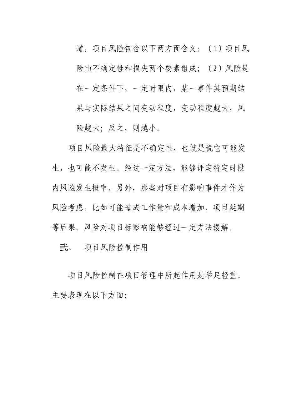 项目风险控制_第2页