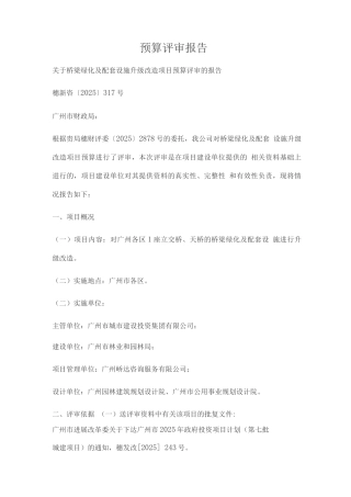 预算评审报告
