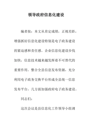 领导政府信息化建设