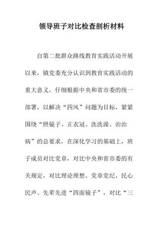 领导班子对照检查剖析材料