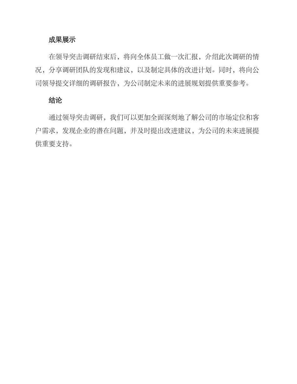 领导突击调研方案_第3页