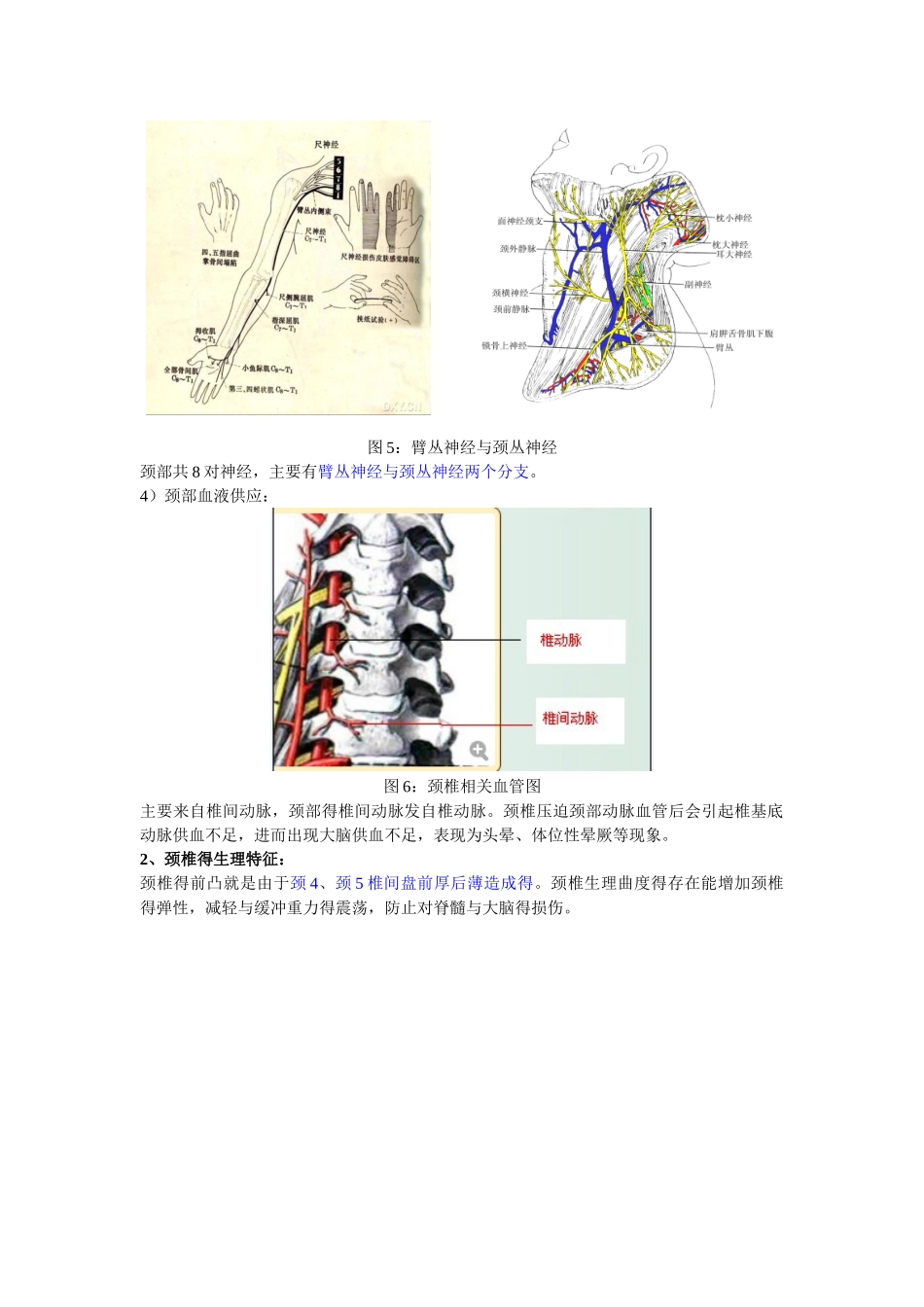 颈椎病内容整理_第3页