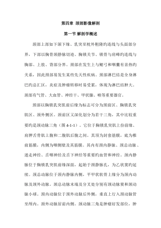 颈部影像解剖