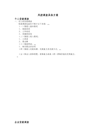 风控调查具体方案
