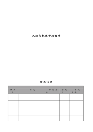风险与机遇管理程序
