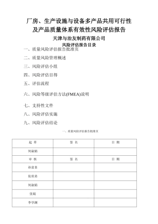 风险分析评估报告