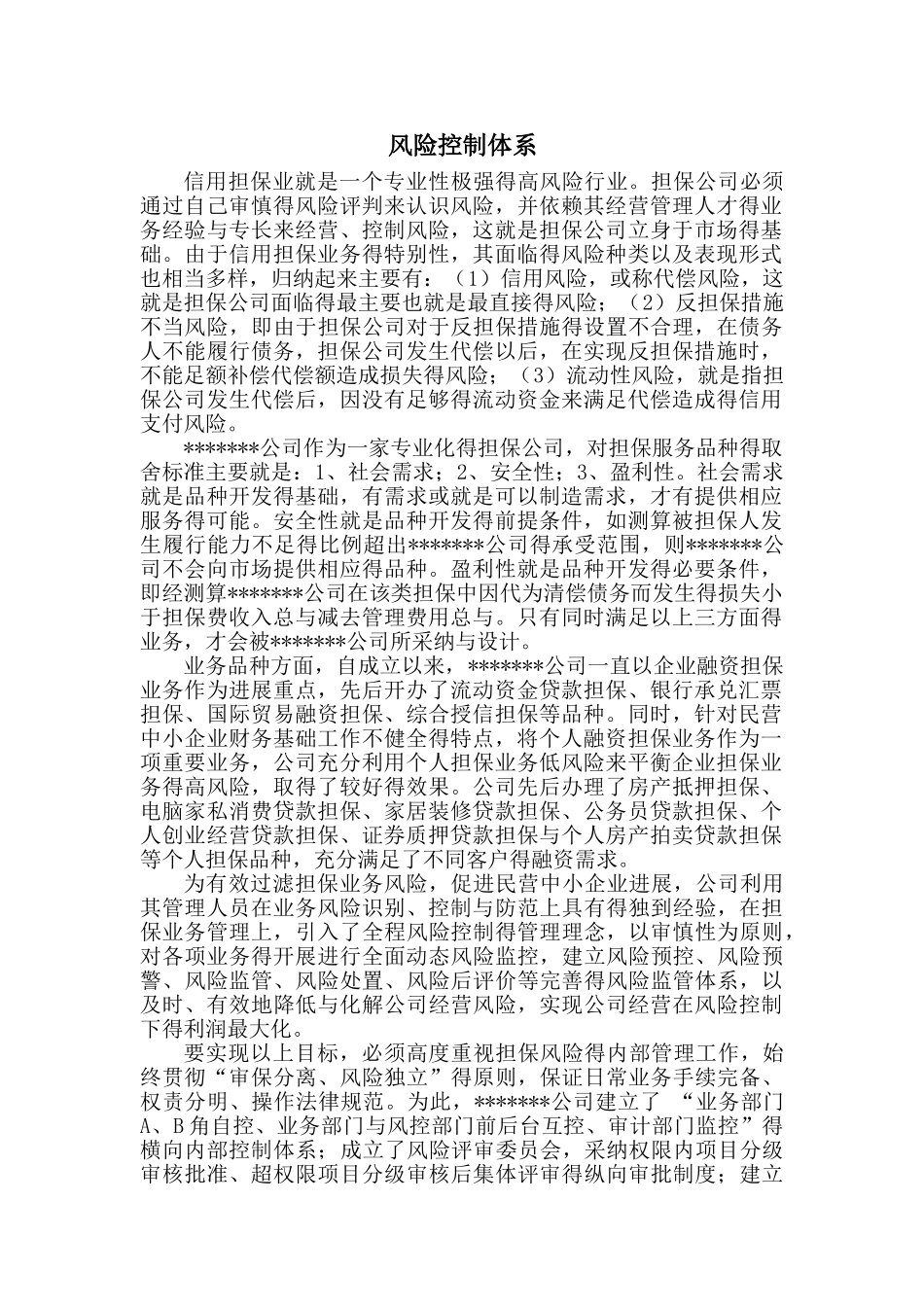 风险管理体系_第1页