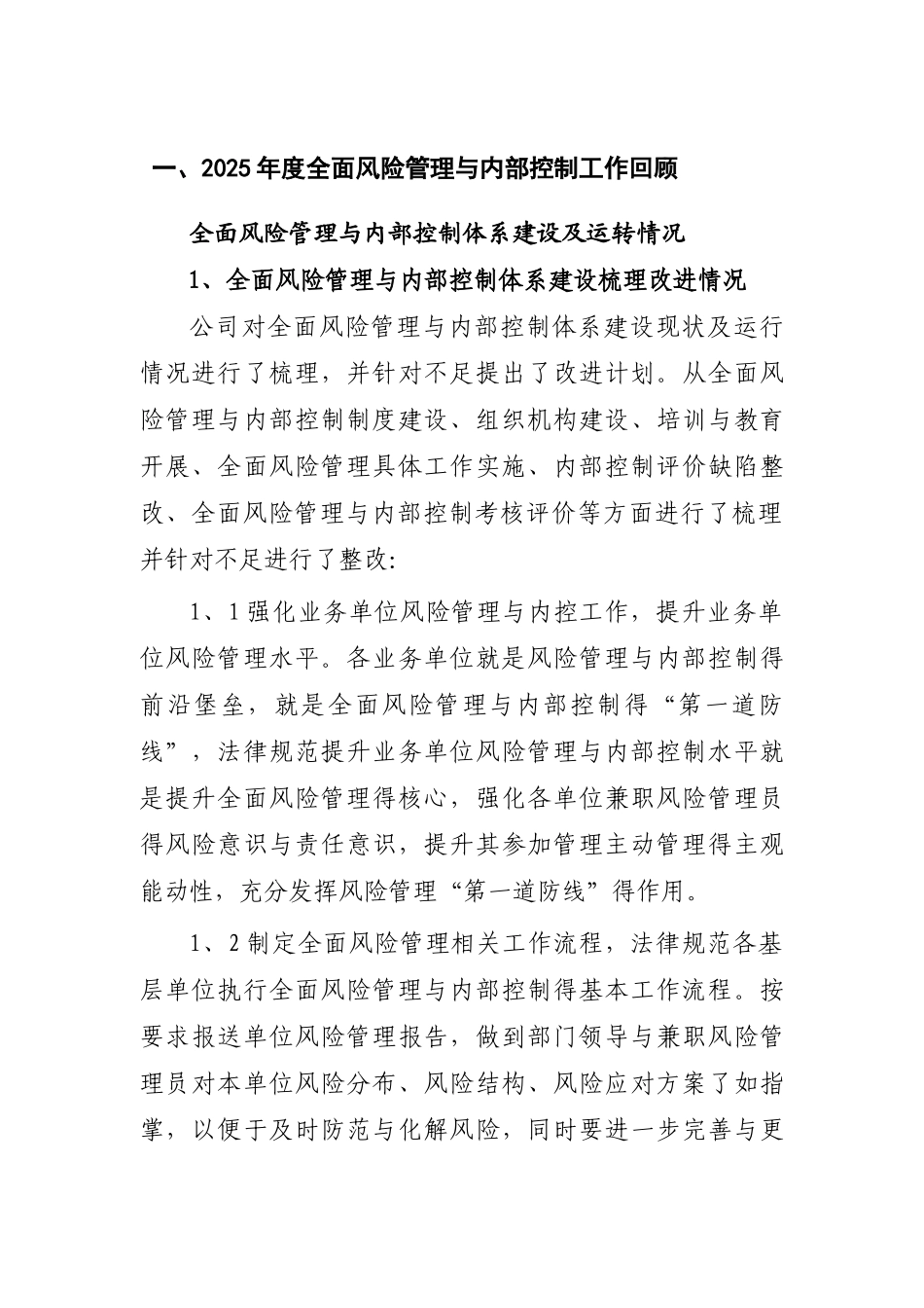 风险管理报告_第1页