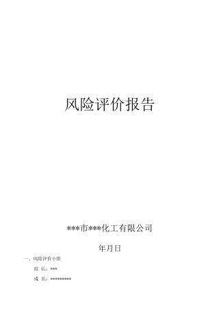风险评价报告