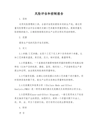 风险评估和控制报告