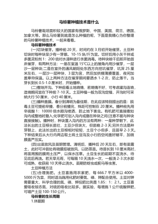 马铃薯种植技术是什么