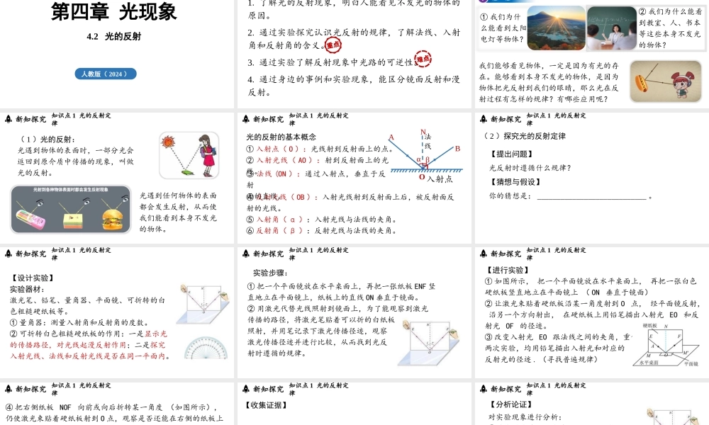 2025-2026学年新人教版八年级物理上册4.2光的反射 课件  
