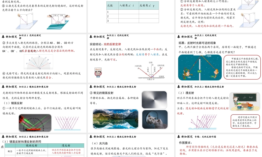 2025-2026学年新人教版八年级物理上册4.2光的反射 课件  