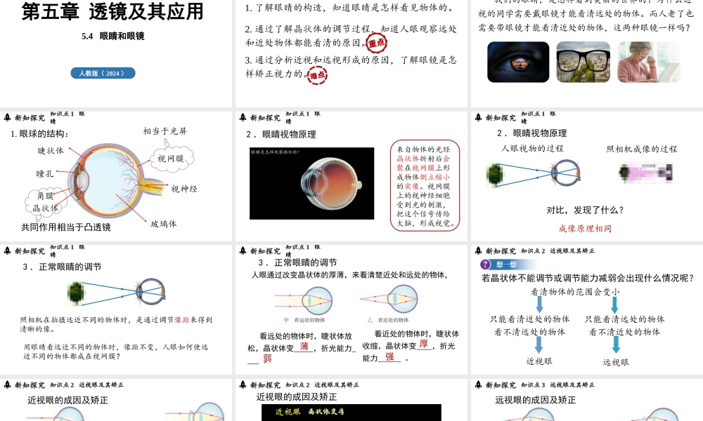 2025-2026学年新人教版八年级物理上册5.4眼睛和眼镜课件