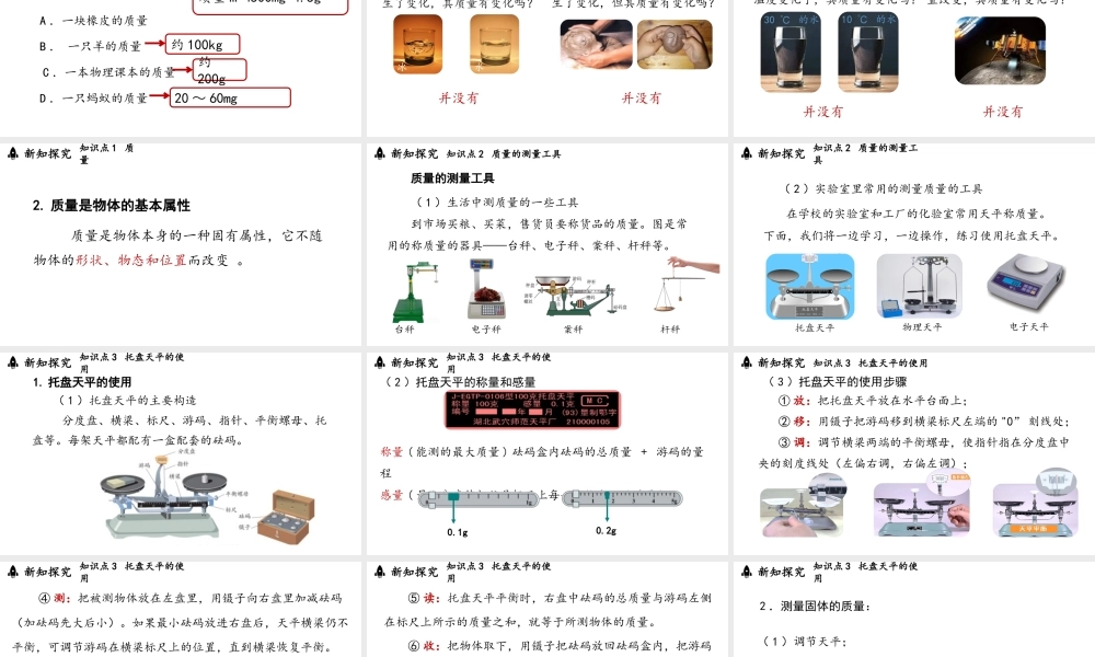 2025-2026学年新人教版八年级物理上册6.1质量课件