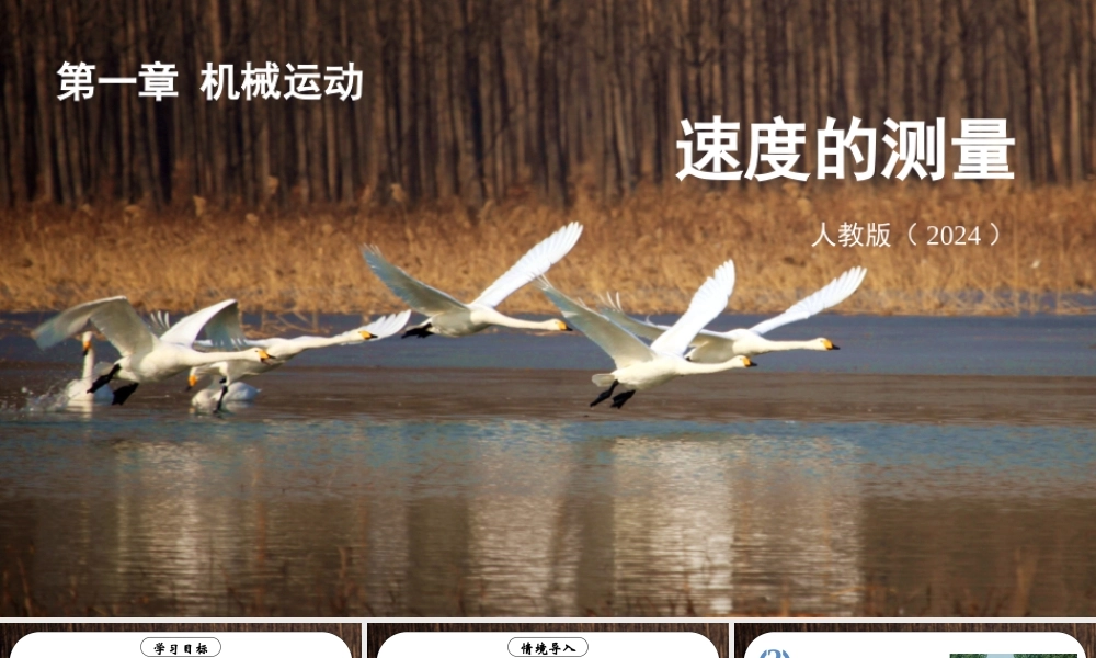 （24人教版）八年级物理上册第4节 速度的测量 课件