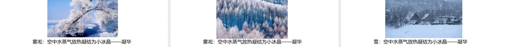 （2024人教版）八年级物理上册3.4   升华和凝华核心素养课件 