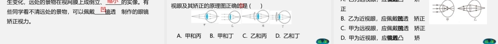 24人教版-八年级物理上册5.4眼睛和眼镜  课件